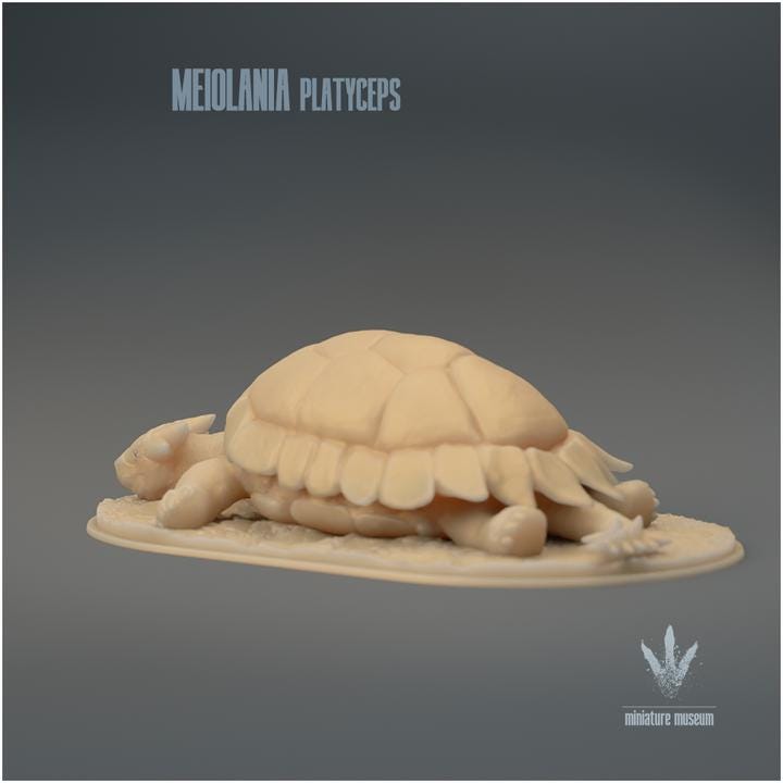 Meiolania platyceps : Resting - UNPAINTED - Miniature Museum