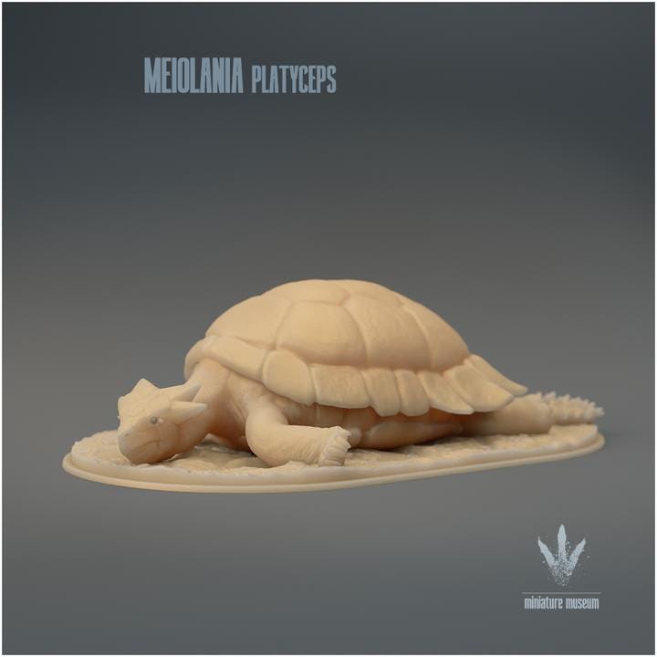 Meiolania platyceps : Resting - UNPAINTED - Miniature Museum
