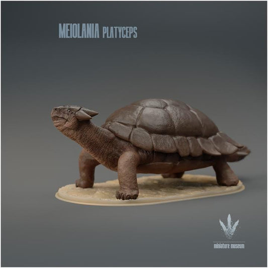 Meiolania platyceps : The Tank Turtle - UNPAINTED - Miniature Museum