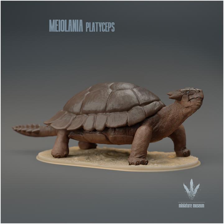 Meiolania platyceps : The Tank Turtle - UNPAINTED - Miniature Museum