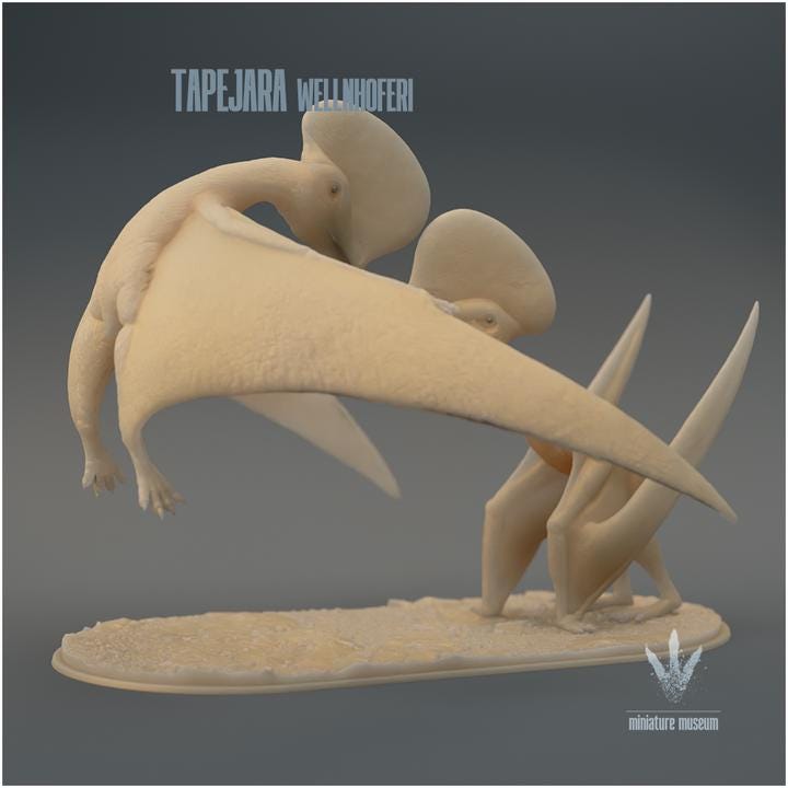 Tapejara wellnhoferi : Couple - UNPAINTED - Miniature Museum