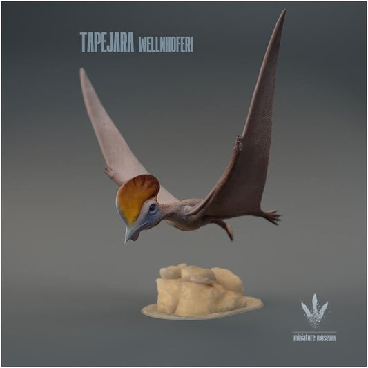 Tapejara wellnhoferi : Flying - UNPAINTED - Miniature Museum