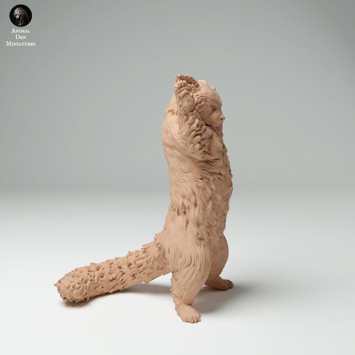 Red Panda - UNPAINTED - Animal Den Miniatures