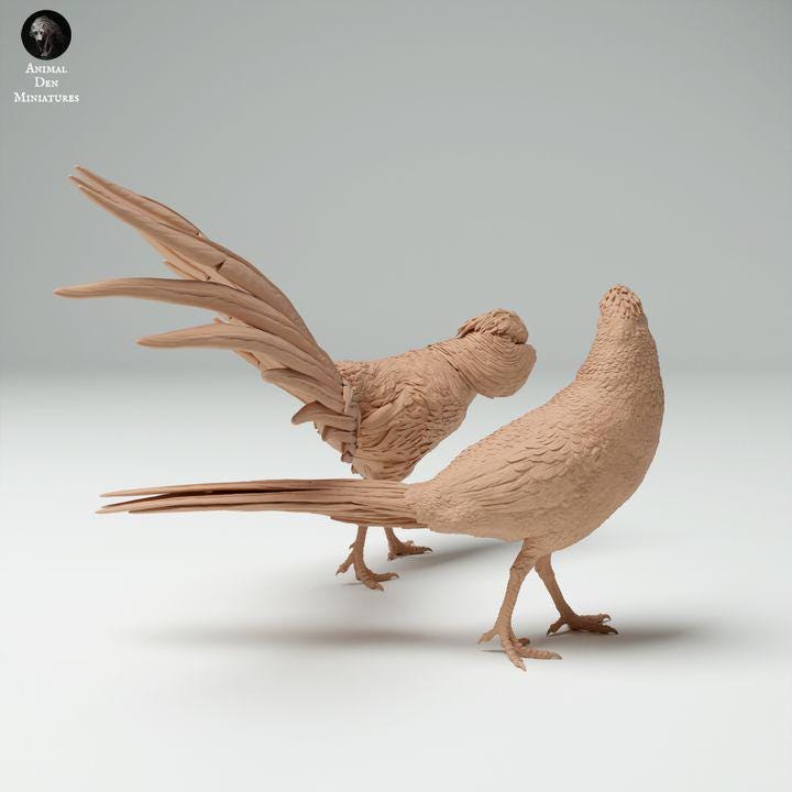 Golden Pheasant Male and Female - UNPAINTED - Animal Den Miniatures