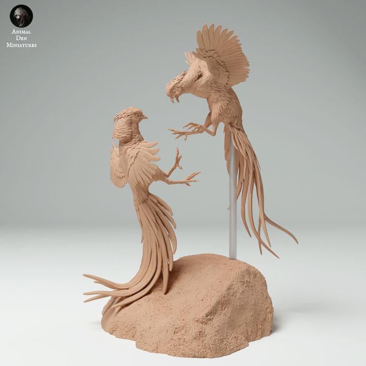 Golden Pheasants Fight - UNPAINTED - Animal Den Miniatures