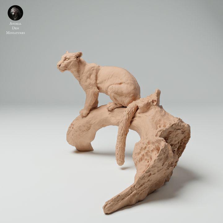 Clouded Leopard on a Tree - UNPAINTED - Animal Den Miniatures