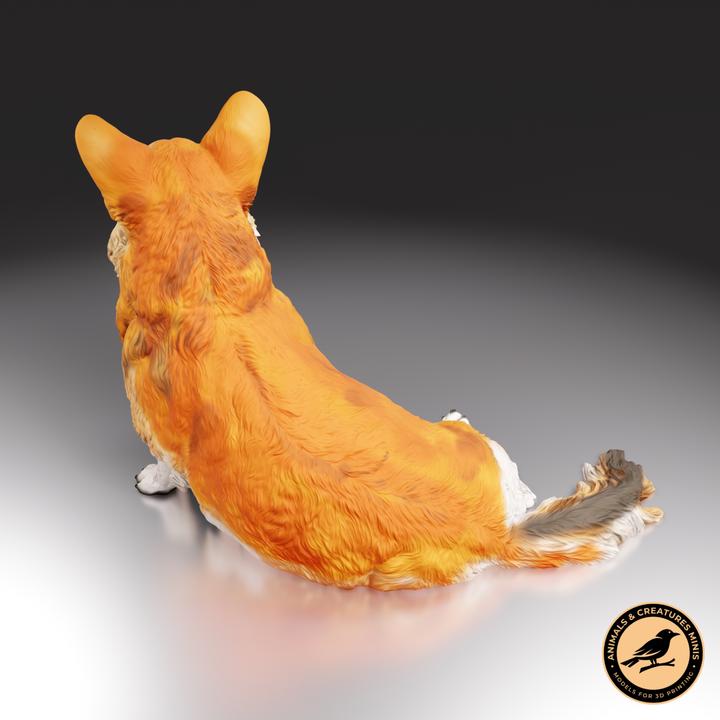 Corgi - UNPAINTED - Animals & Creatures Minis