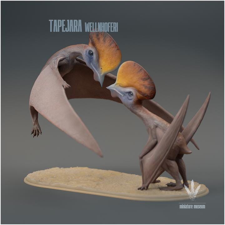 Tapejara wellnhoferi : Couple - UNPAINTED - Miniature Museum