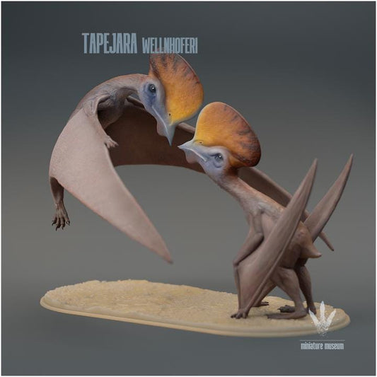 Tapejara wellnhoferi : Couple - UNPAINTED - Miniature Museum