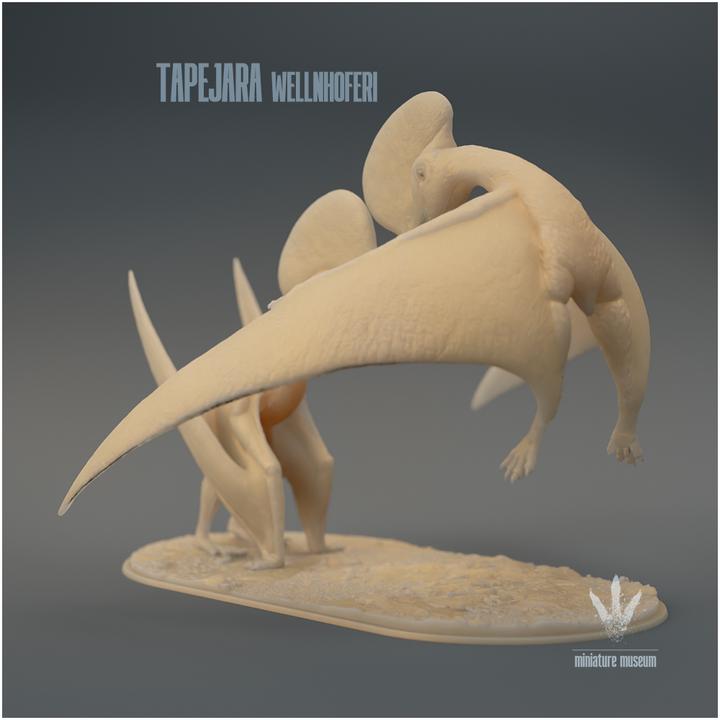 Tapejara wellnhoferi : Couple - UNPAINTED - Miniature Museum