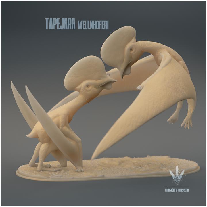 Tapejara wellnhoferi : Couple - UNPAINTED - Miniature Museum