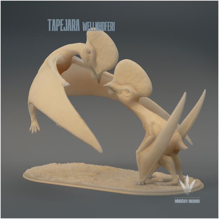 Tapejara wellnhoferi : Couple - UNPAINTED - Miniature Museum
