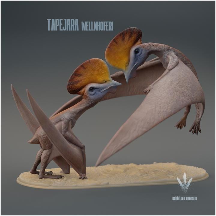 Tapejara wellnhoferi : Couple - UNPAINTED - Miniature Museum