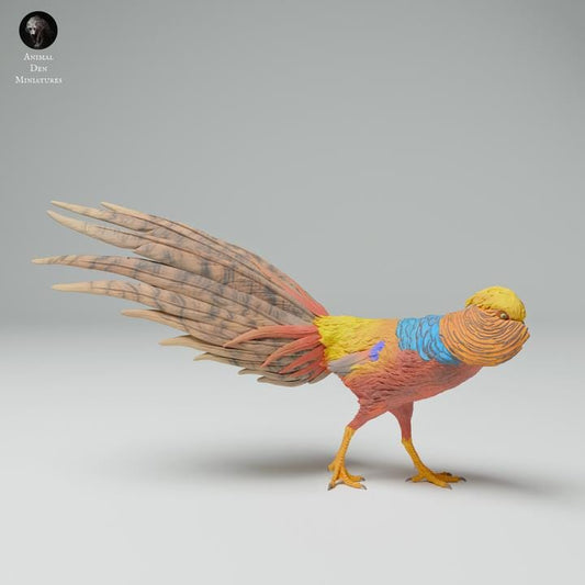 Golden Pheasant Male - UNPAINTED - Animal Den Miniatures