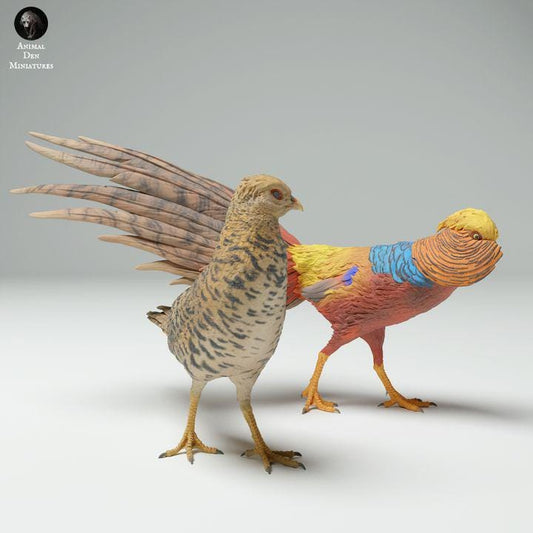 Golden Pheasant Male and Female - UNPAINTED - Animal Den Miniatures