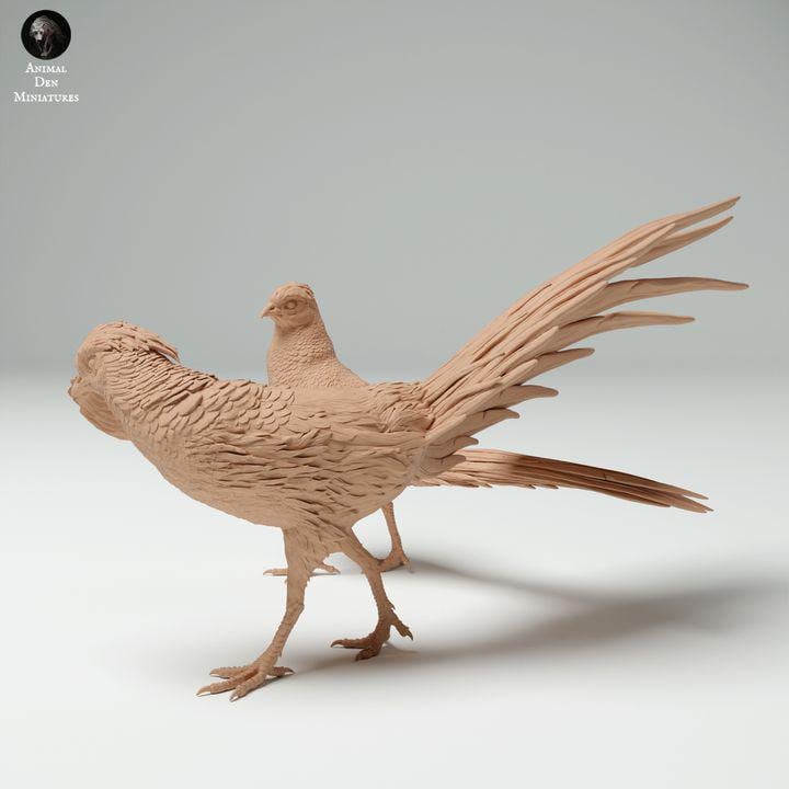 Golden Pheasant Male and Female - UNPAINTED - Animal Den Miniatures
