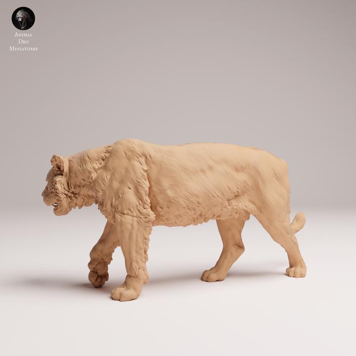 Sumartan Tiger - UNPAINTED - Animal Den Miniatures