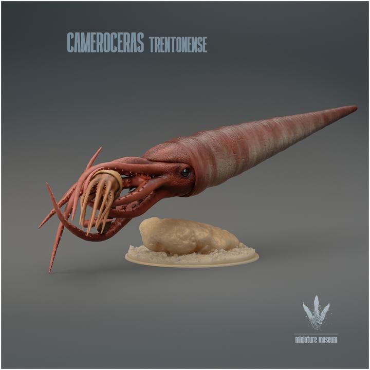 Cameroceras trentonense : Hunting - UNPAINTED 3D Figurine - Miniature Museum