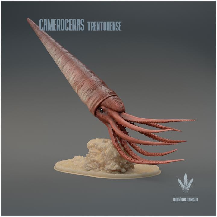 Cameroceras trentonense : The Giant Cephalopod - UNPAINTED - Miniature Museum