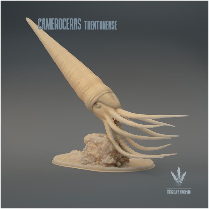 Cameroceras trentonense : The Giant Cephalopod - UNPAINTED - Miniature Museum