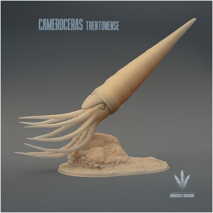 Cameroceras trentonense : The Giant Cephalopod - UNPAINTED - Miniature Museum