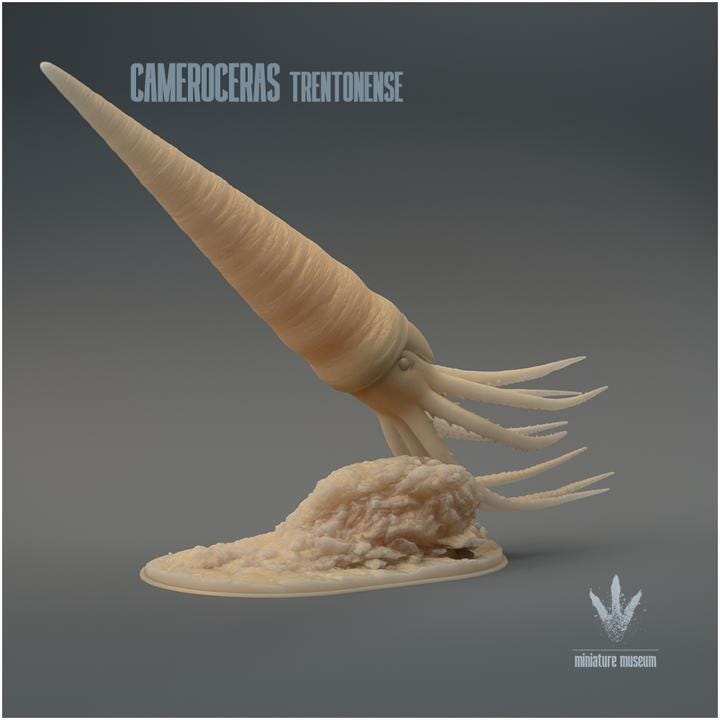 Cameroceras trentonense : The Giant Cephalopod - UNPAINTED - Miniature Museum