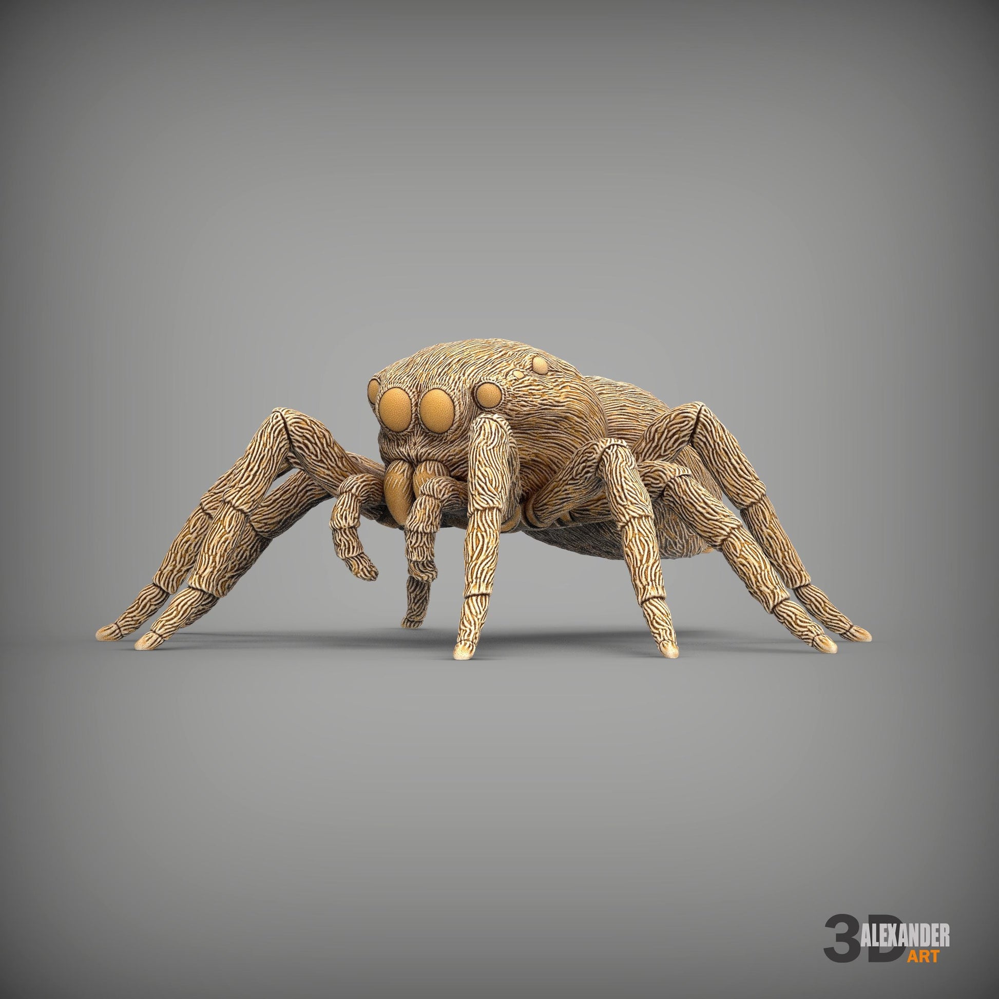 Jumping spider - UNPAINTED - Alexander3dart