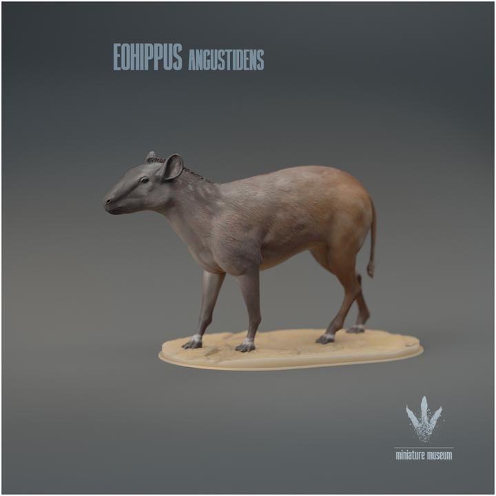 Eohippus angustidens : The Dawn Horse - UNPAINTED 3D Figurine - Miniature Museum