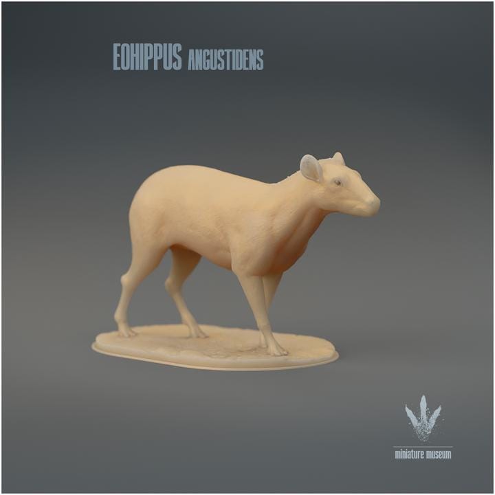 Eohippus angustidens : The Dawn Horse - UNPAINTED 3D Figurine - Miniature Museum