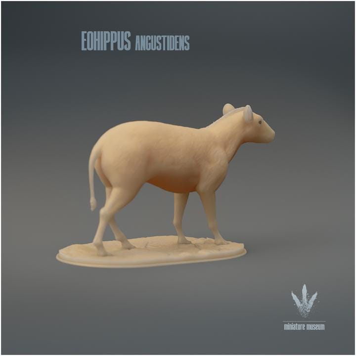 Eohippus angustidens : The Dawn Horse - UNPAINTED 3D Figurine - Miniature Museum