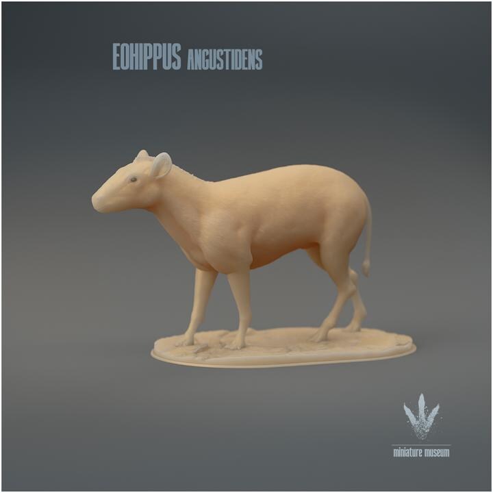 Eohippus angustidens : The Dawn Horse - UNPAINTED 3D Figurine - Miniature Museum