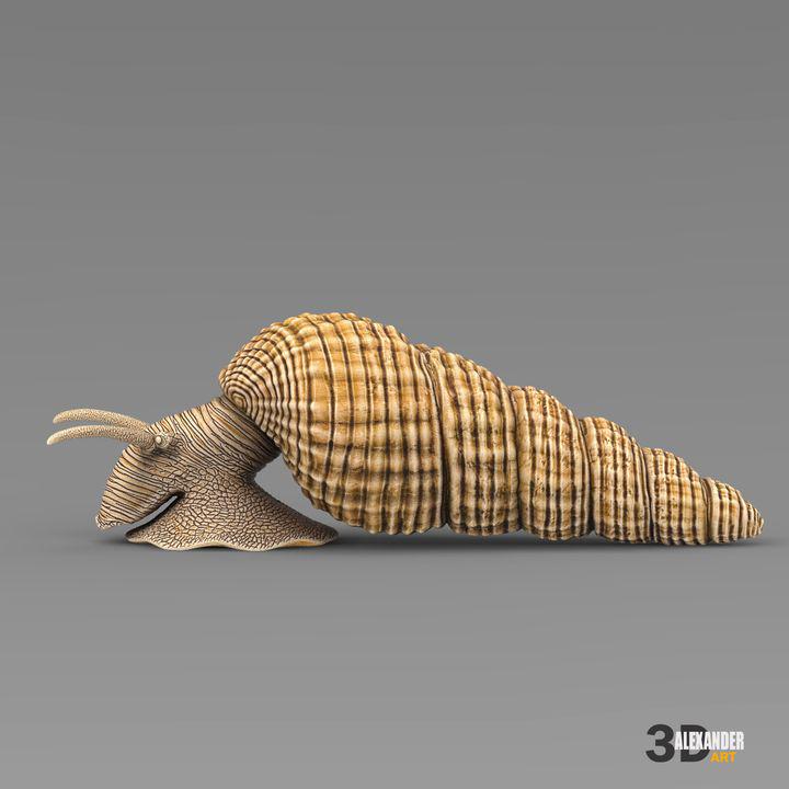 Tylomelania - UNPAINTED - Alexander3dart