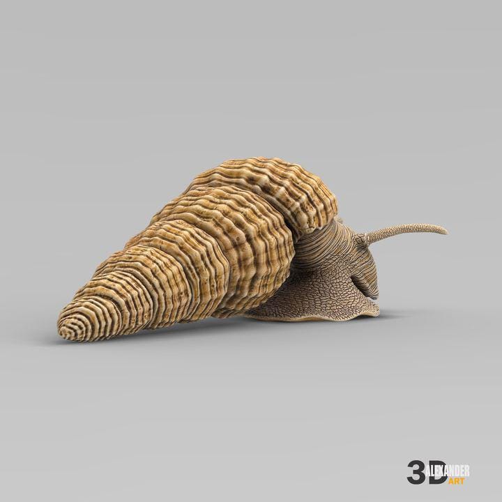 Tylomelania - UNPAINTED - Alexander3dart