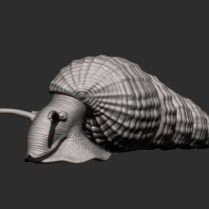 Tylomelania - UNPAINTED - Alexander3dart