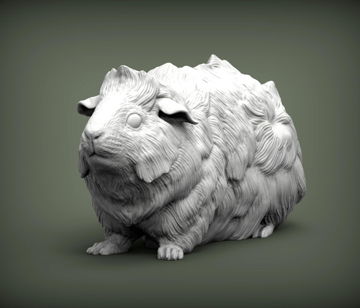 Abyssinian guinea pig - UNPAINTED 3D resin figure - Alexander3dart