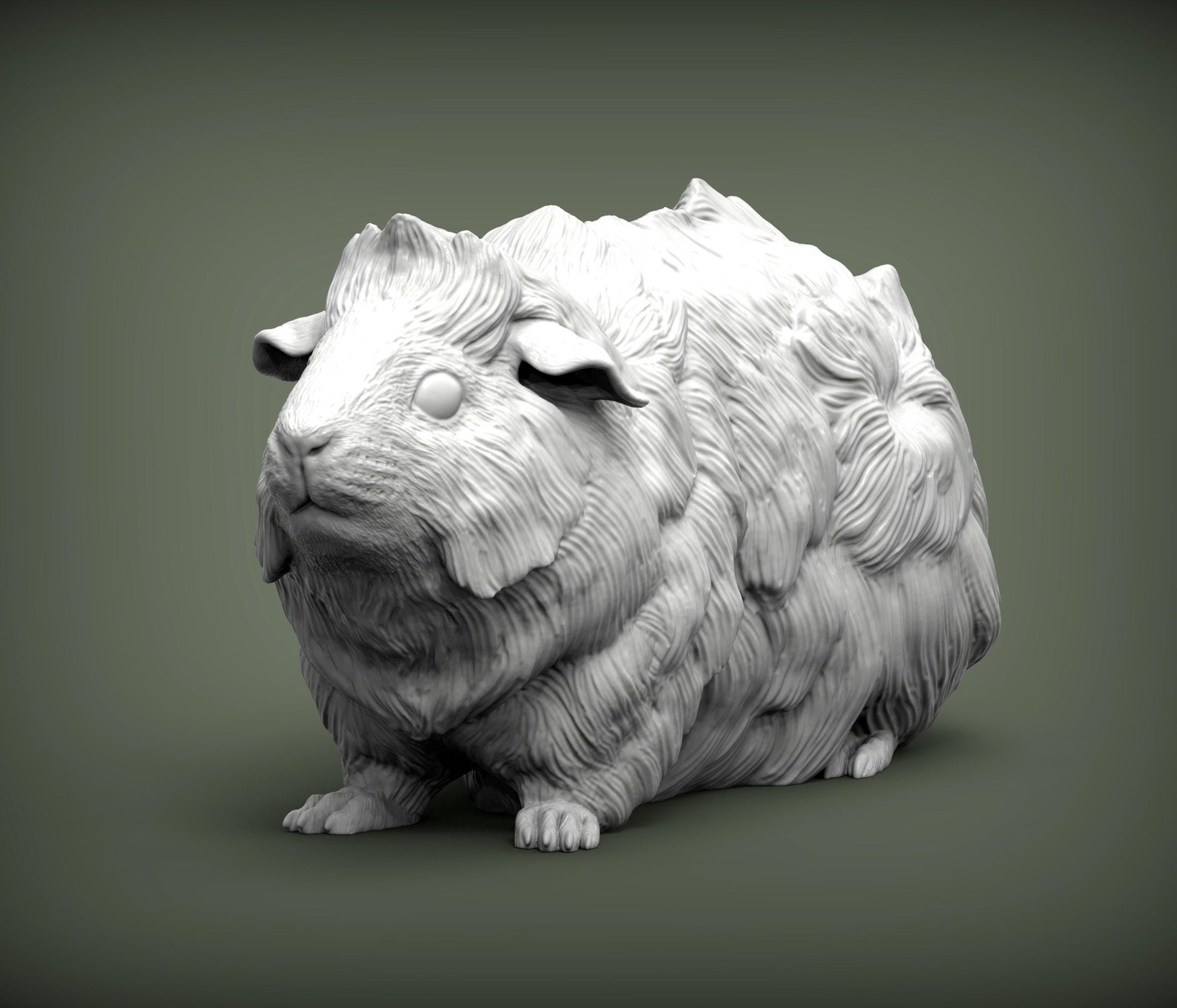 Abyssinian guinea pig - UNPAINTED 3D resin figure - Alexander3dart