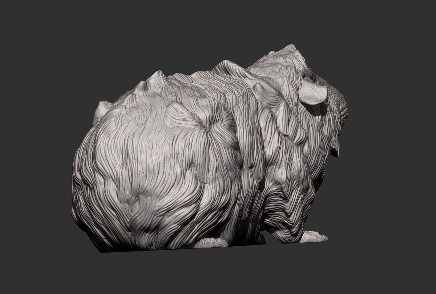 Abyssinian guinea pig - UNPAINTED 3D resin figure - Alexander3dart
