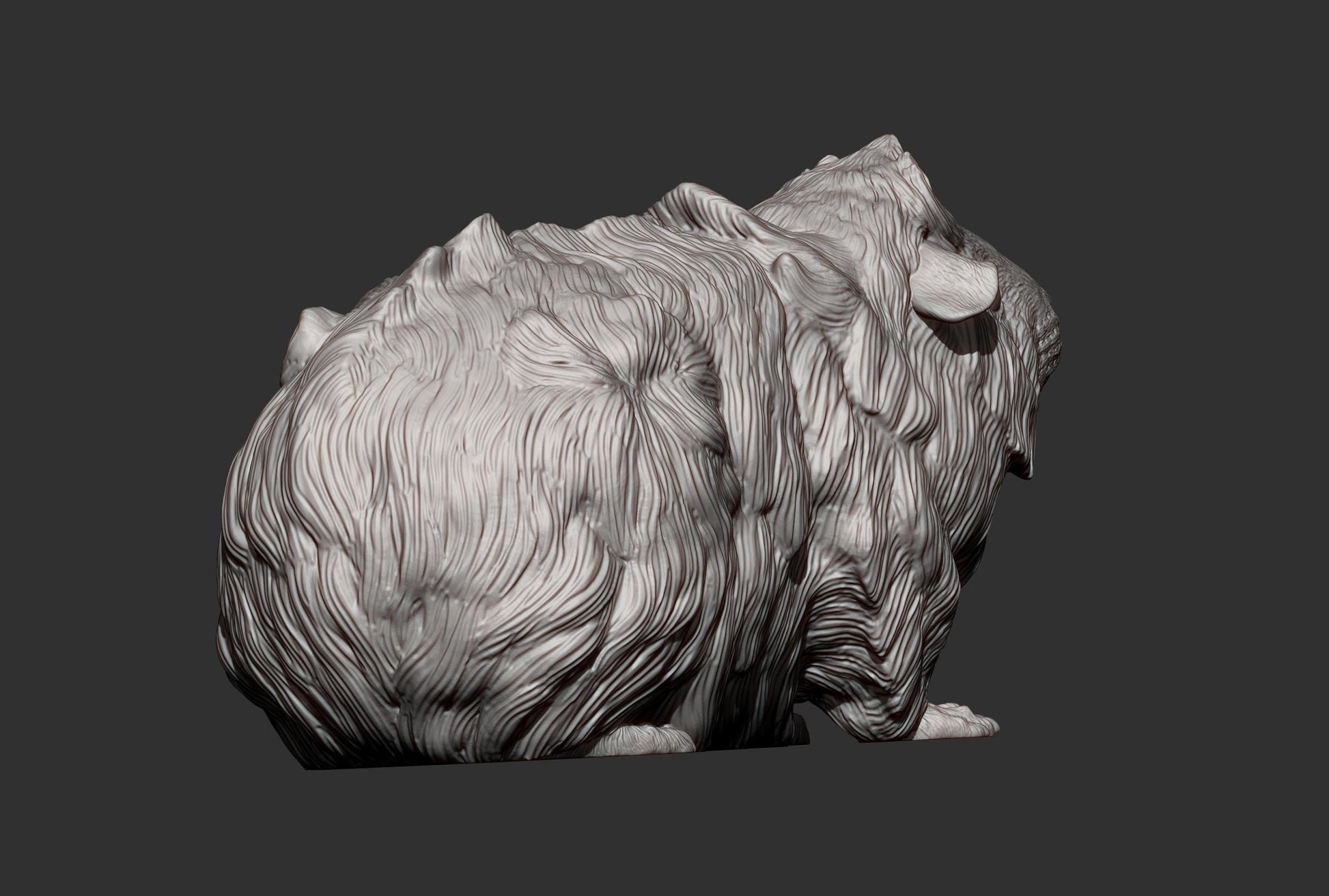 Abyssinian guinea pig - UNPAINTED 3D resin figure - Alexander3dart