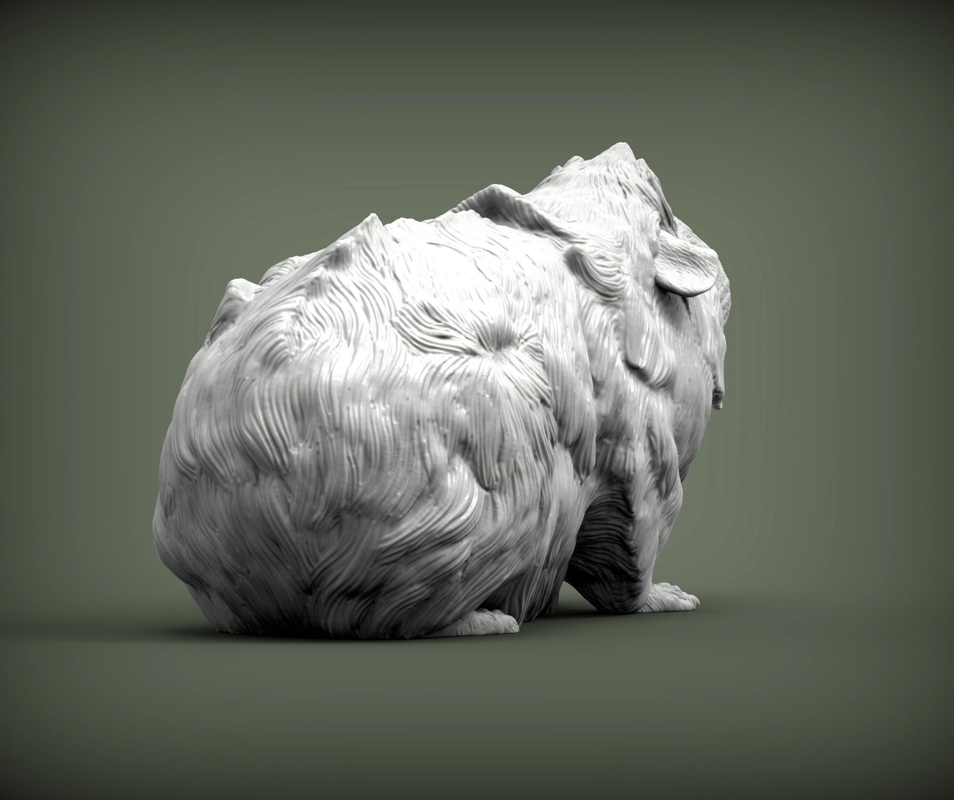 Abyssinian guinea pig - UNPAINTED 3D resin figure - Alexander3dart
