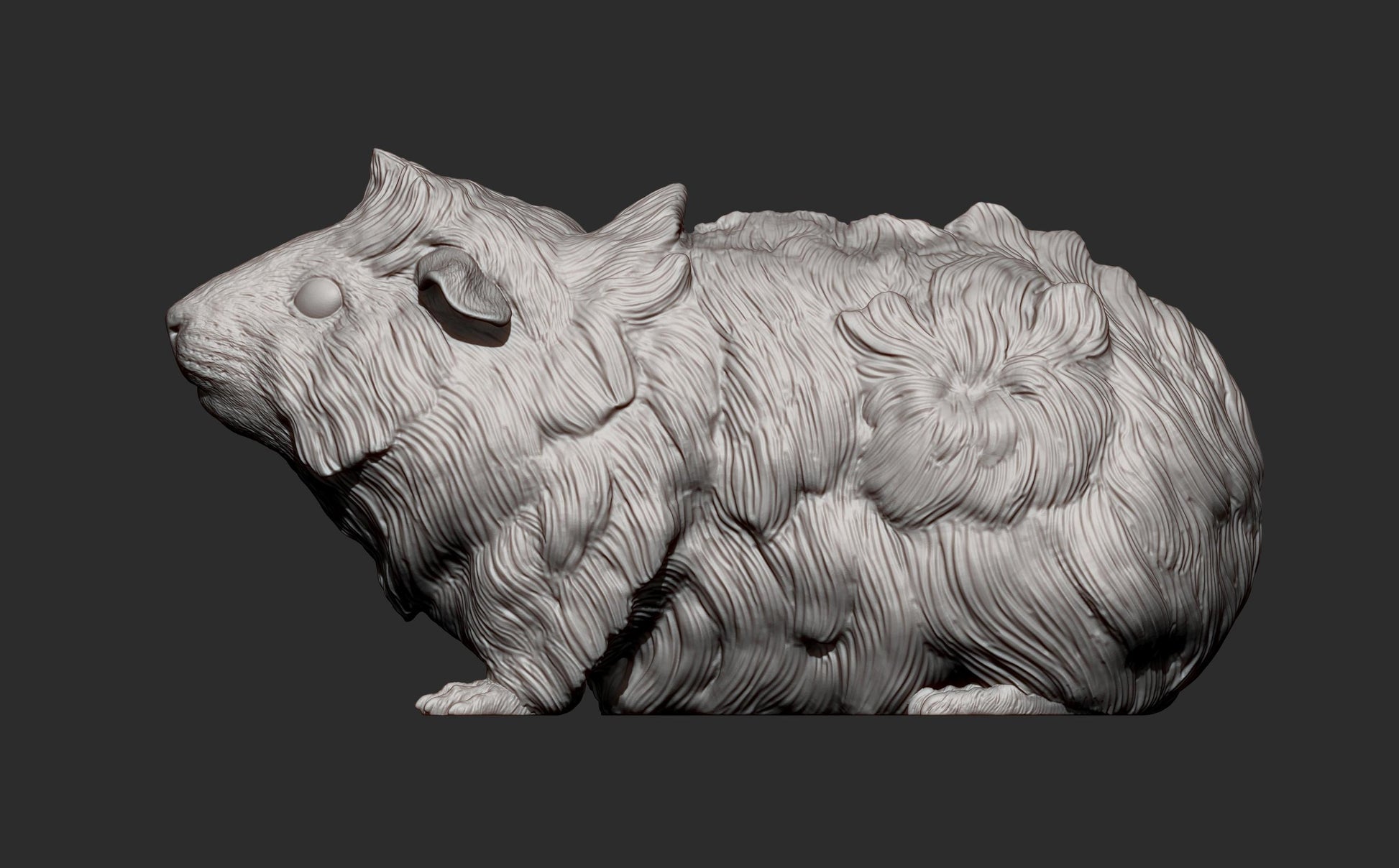 Abyssinian guinea pig - UNPAINTED 3D resin figure - Alexander3dart