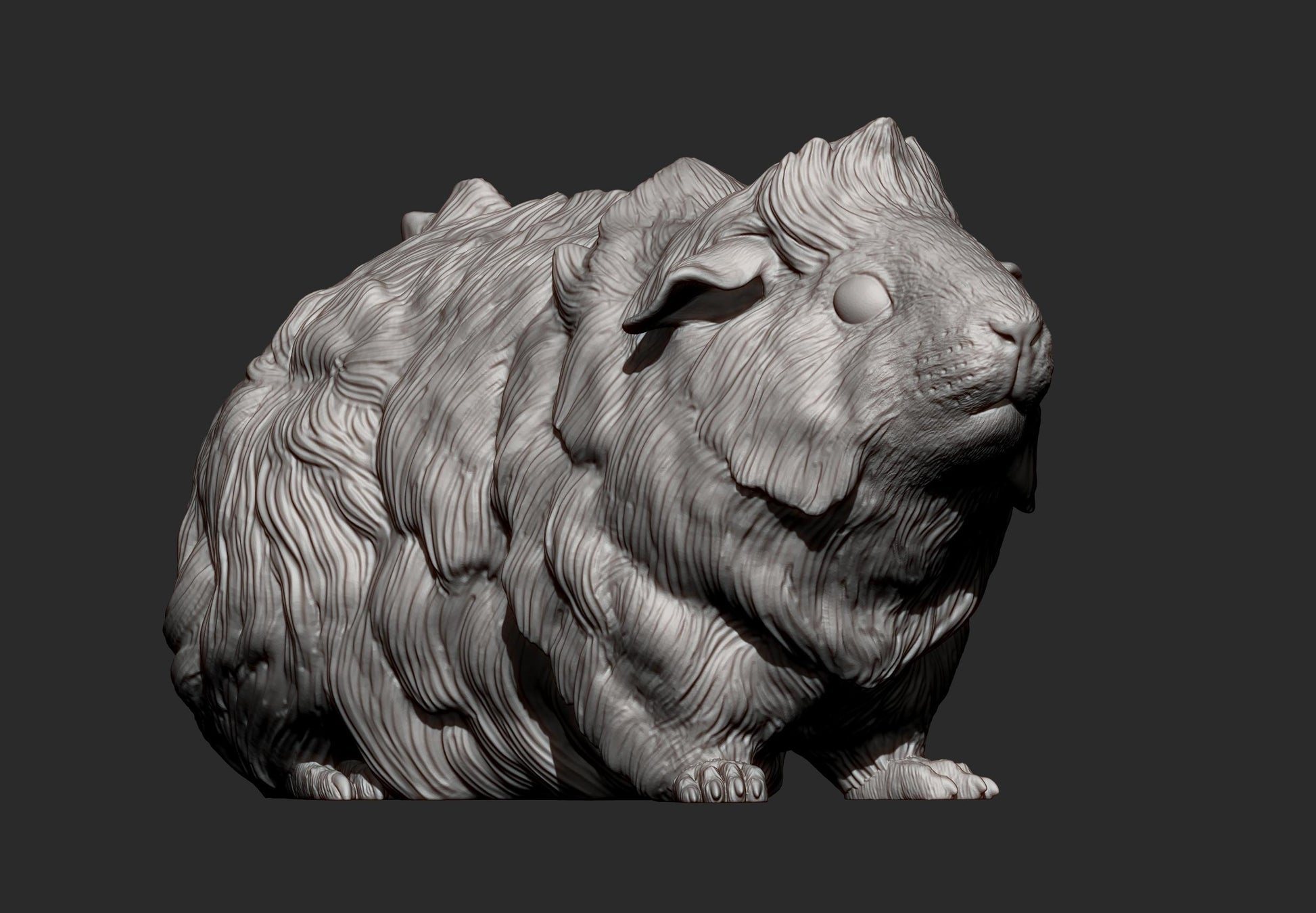Abyssinian guinea pig - UNPAINTED 3D resin figure - Alexander3dart