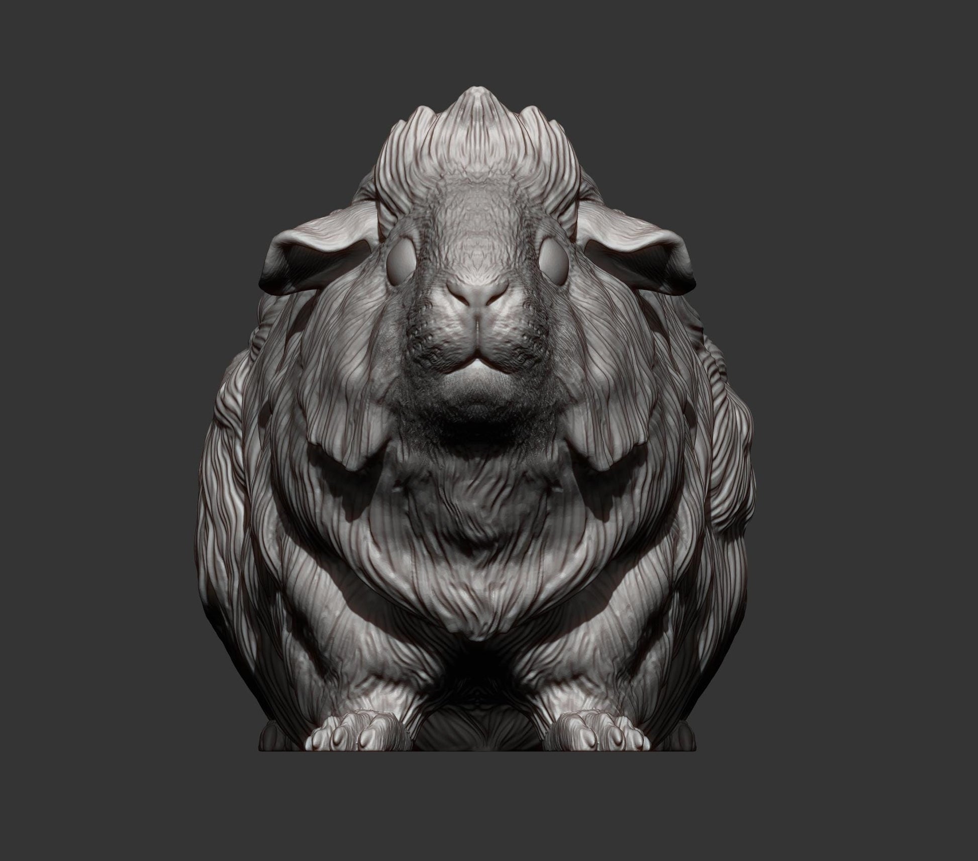Abyssinian guinea pig - UNPAINTED 3D resin figure - Alexander3dart