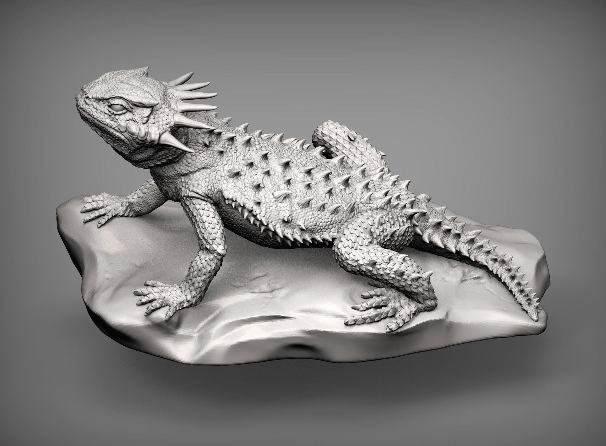 Flat-horned toad lizard - UNPAINTED - Alexander3dart