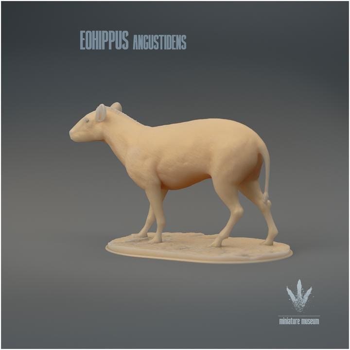 Eohippus angustidens : The Dawn Horse - UNPAINTED 3D Figurine - Miniature Museum