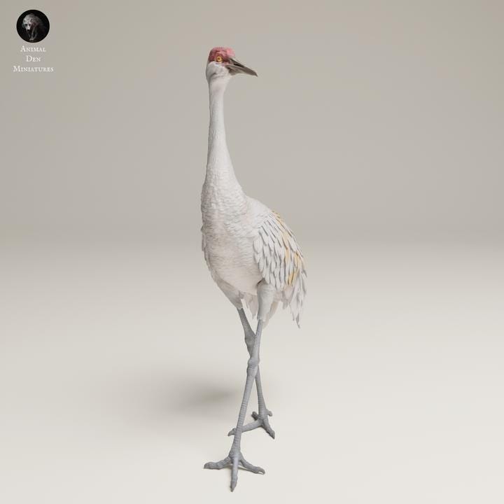 Greater Sandhill Crane - UNPAINTED 3D resin print/figure - Animal Den Miniatures