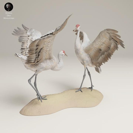 Greater Sandhill Cranes Dance - UNPAINTED - Animal Den Miniatures