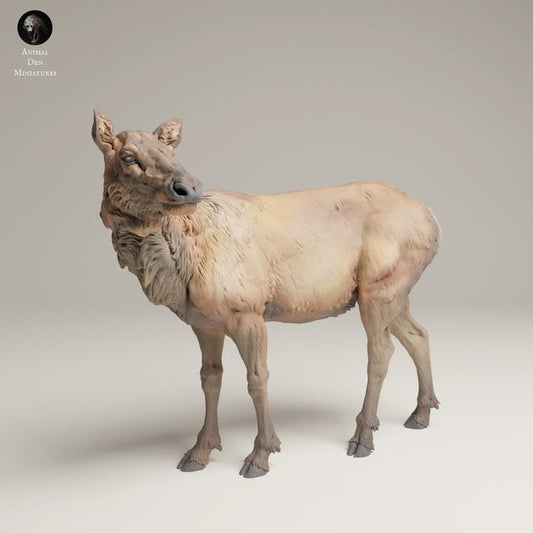 Rocky Mountain Elk Cow - UNPAINTED 3D resin print/figure - Animal Den Miniatures