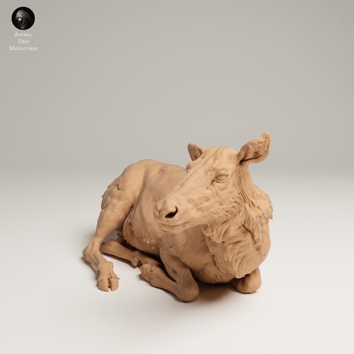 Rocky Mountain Elk Cow Lying - UNPAINTED 3D resin print/figure - Animal Den Miniatures