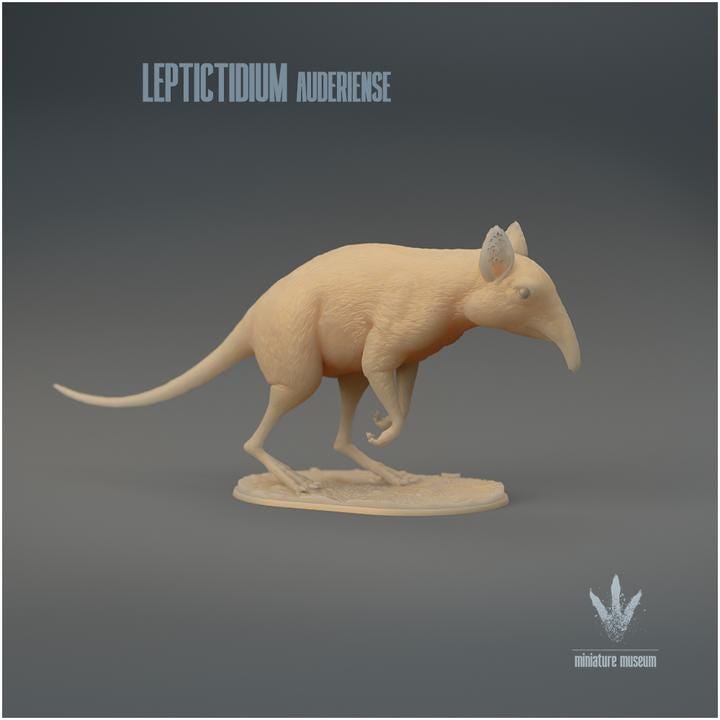 Leptictidium auderiense : The Prehistoric Shrew-like Mammal - UNPAINTED 3D Figurine - Miniature Museum