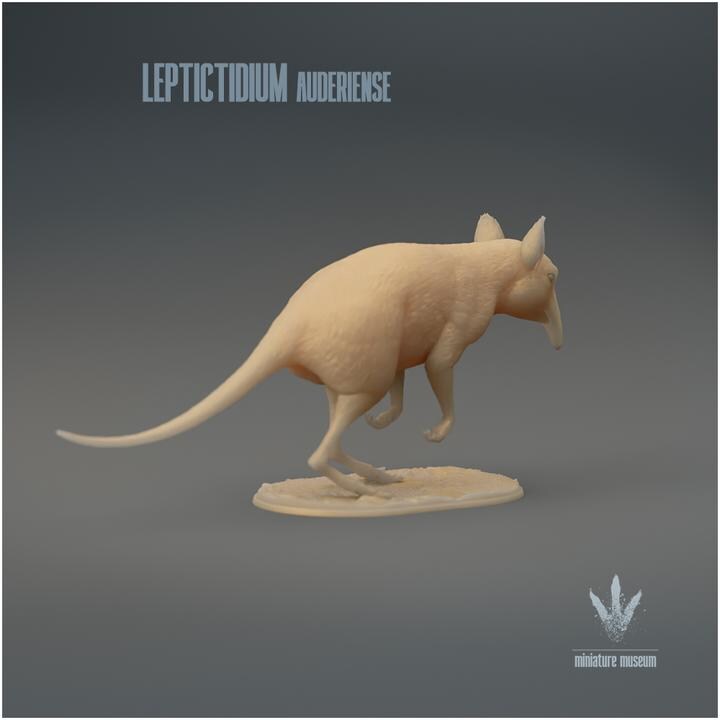 Leptictidium auderiense : The Prehistoric Shrew-like Mammal - UNPAINTED 3D Figurine - Miniature Museum